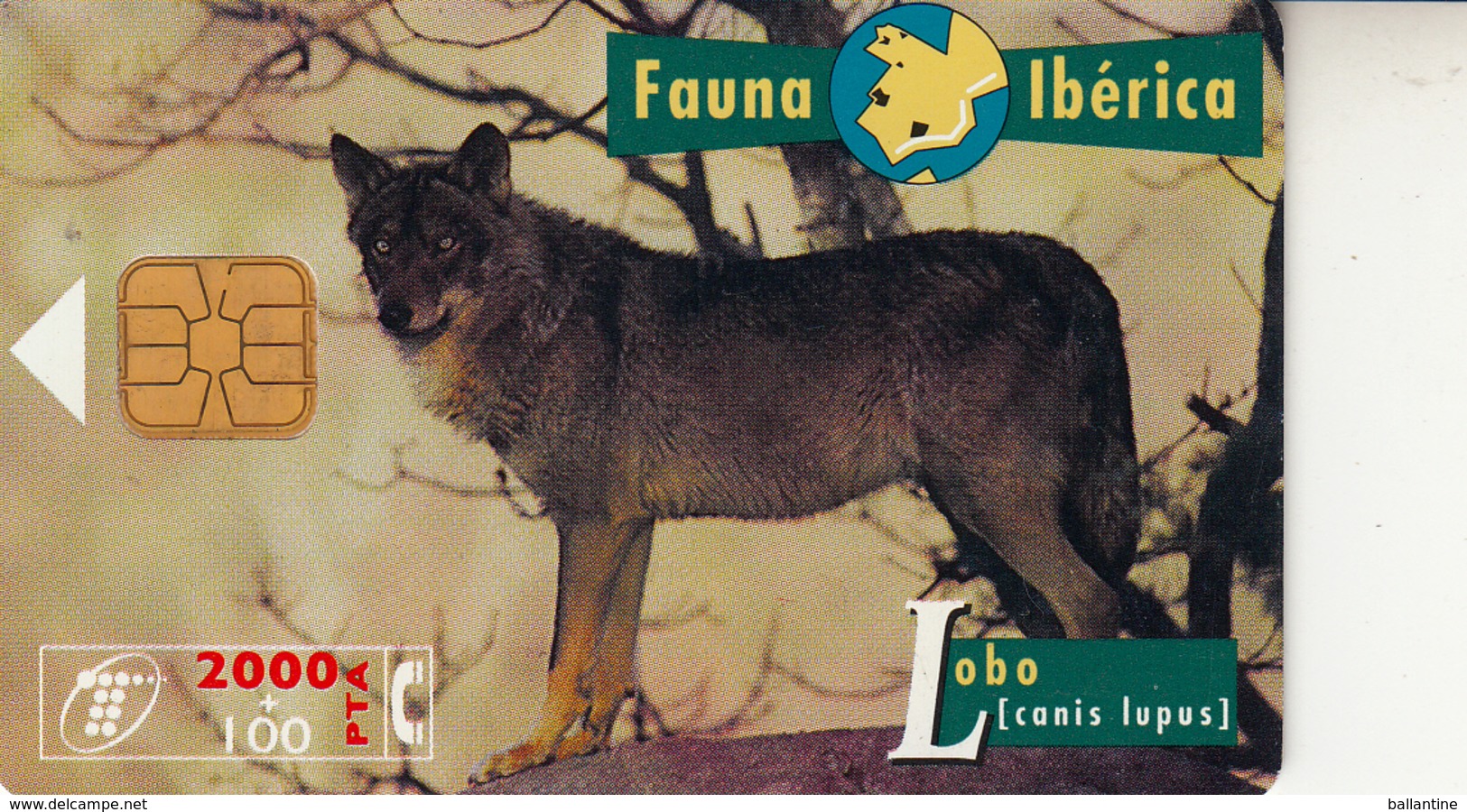 Fauna Ibérica Lobo - Colecciones