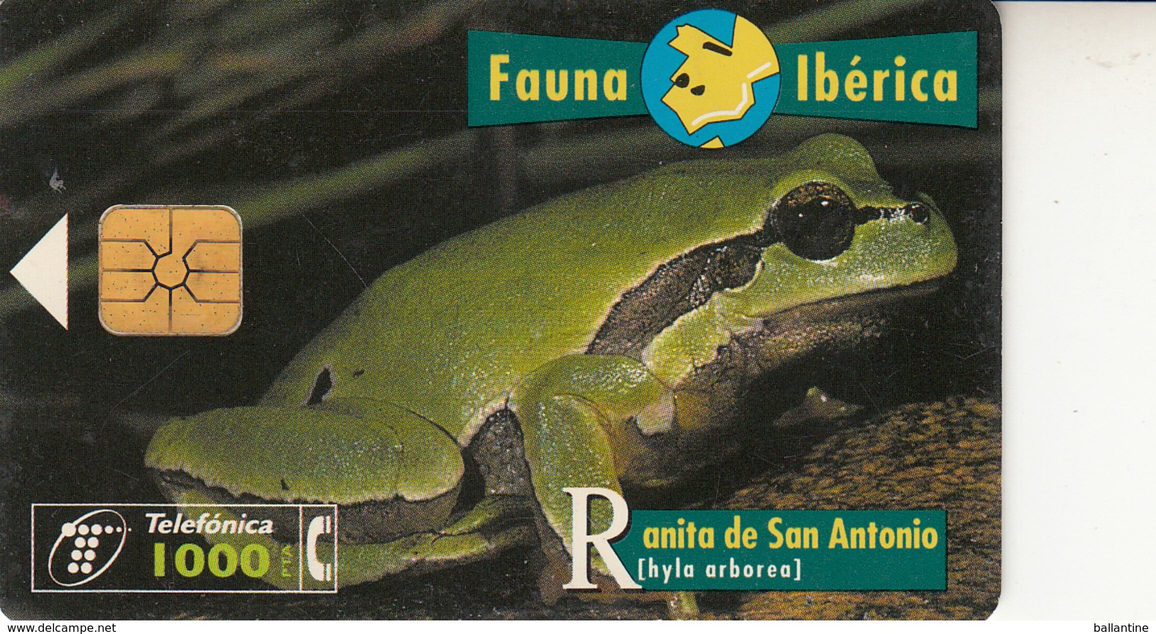 Fauna Ibérica Ranita De San Antonio - Verzamelingen