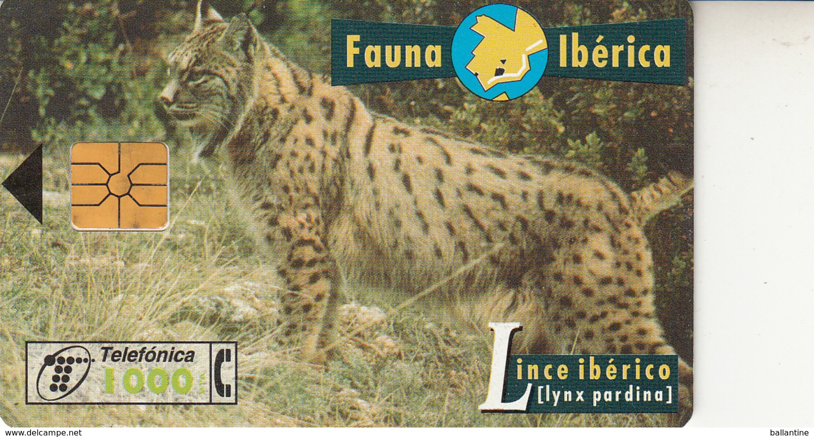 Fauna Ibérica  Lince Ibérico - Sammlungen