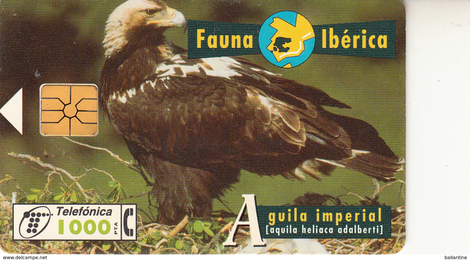 Fauna Ibérica  Aguila Imperial - Collections