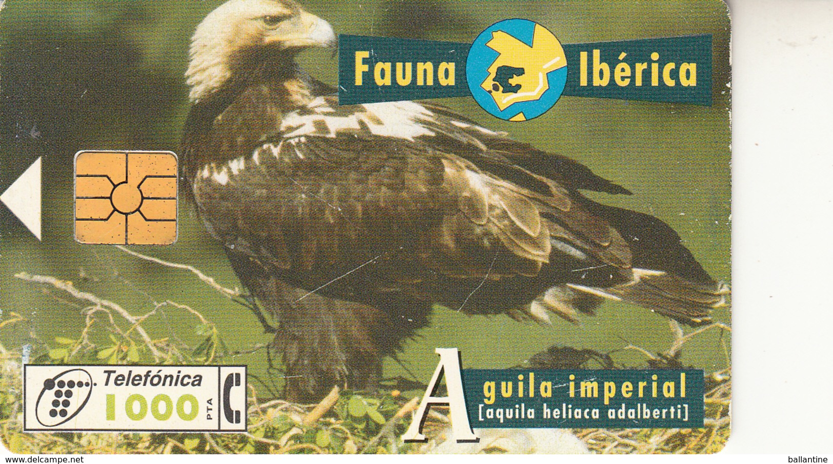 Fauna Ibérica  Aguila Imperial - Collections