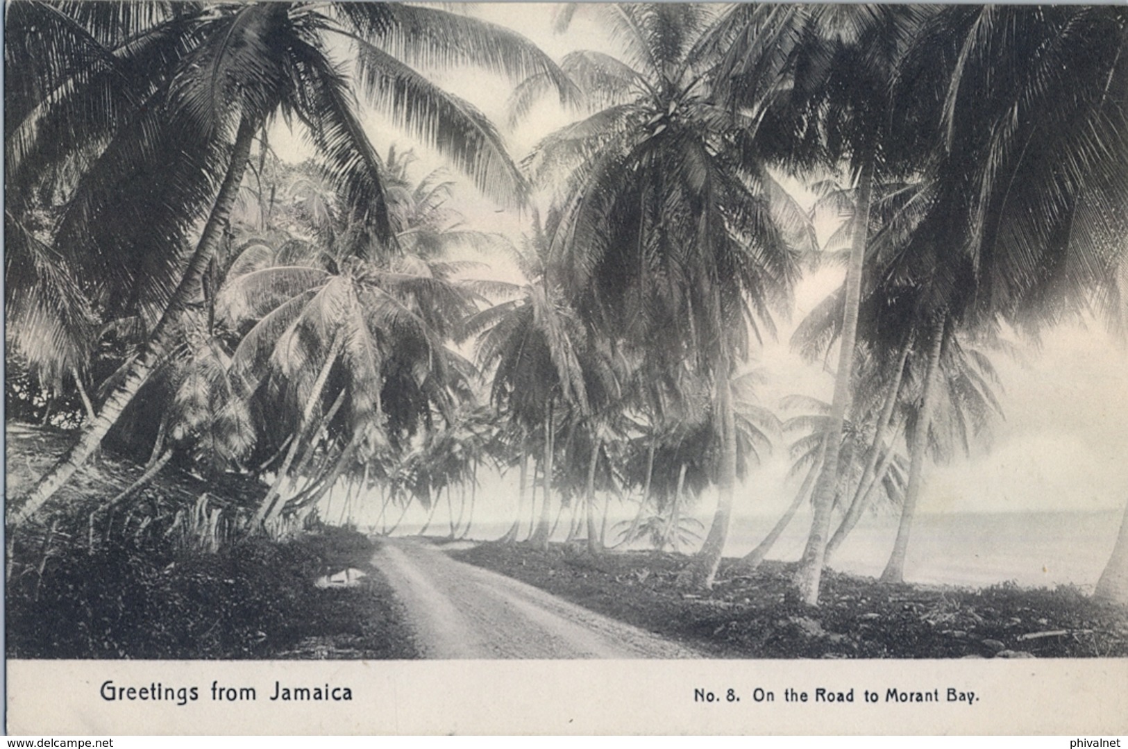 JAMAICA , T.P. NO CIRCULADA , ON THE ROAD TO MORANT BAY - Jamaïque