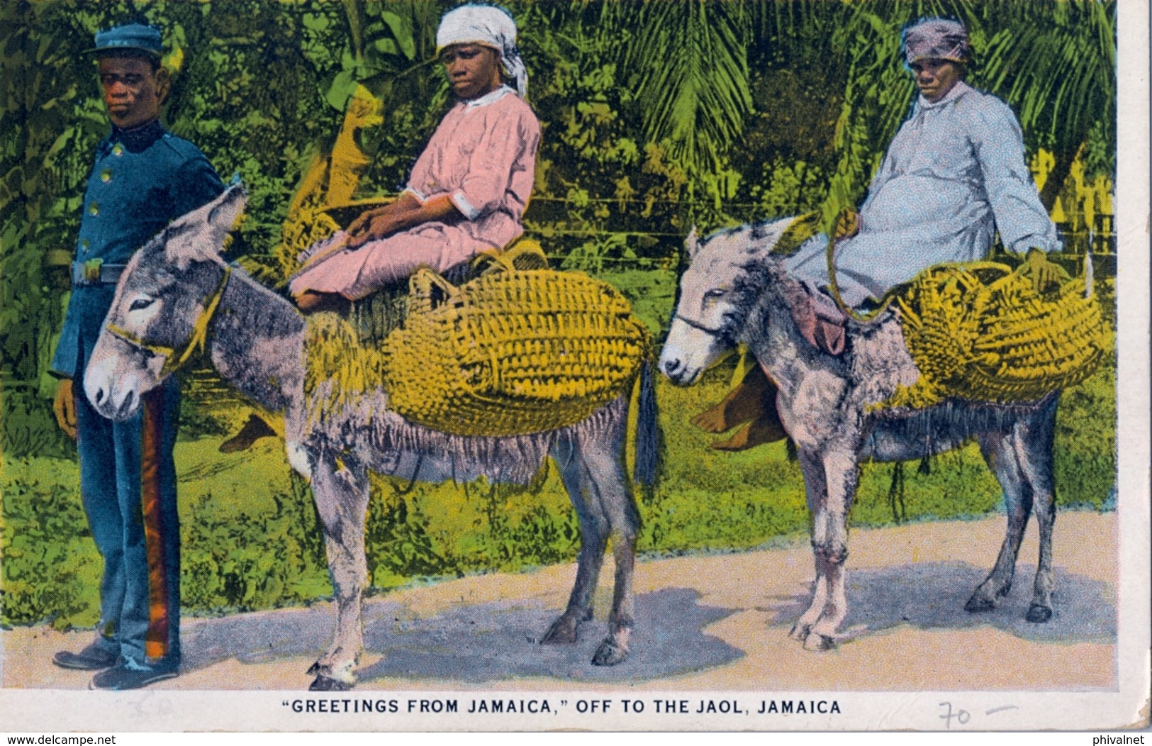 JAMAICA , T.P. NO CIRCULADA , OFF TO THE JAOL , BURROS , ASNOS - Jamaïque
