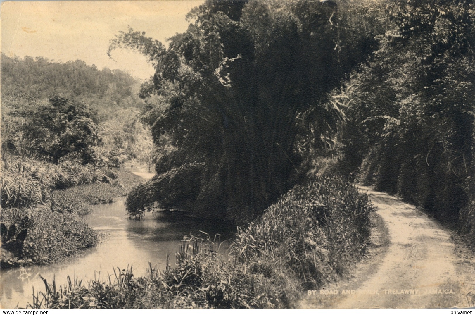 JAMAICA , T.P. NO CIRCULADA , ROAD AND RIVER TRELAWNY - Jamaïque