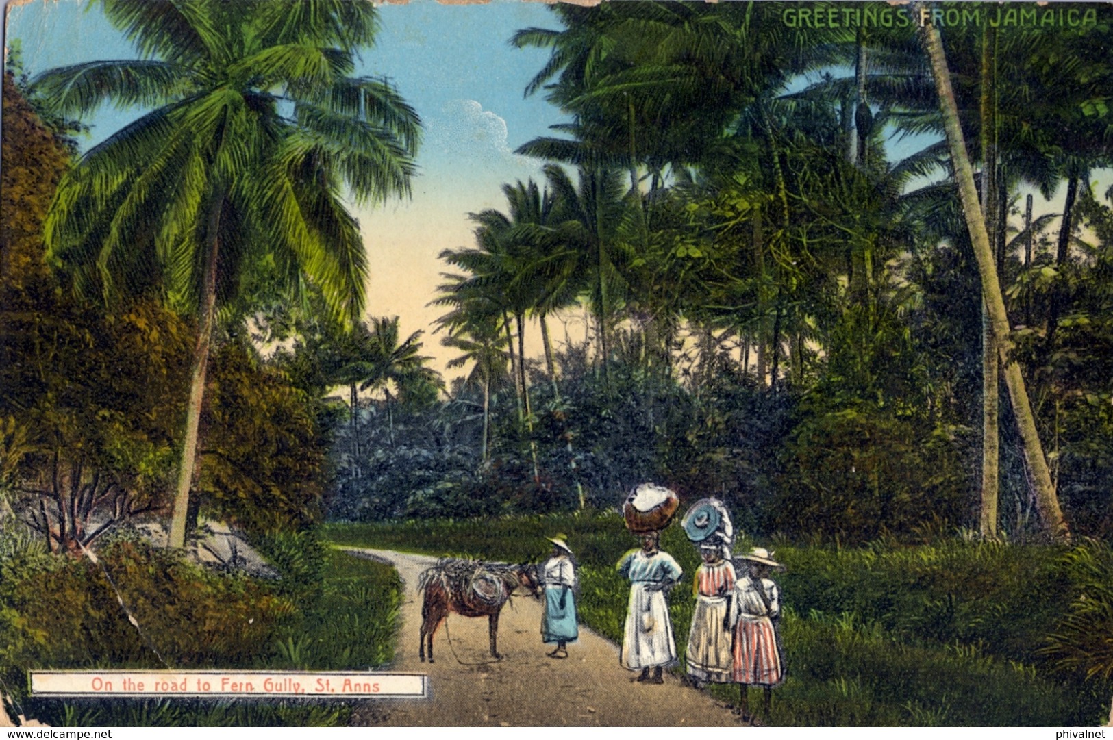JAMAICA , T.P. ESCRITA SIN CIRCULAR , ON THE ROAD TO FERN GULLY , ST. ANNS - Jamaïque