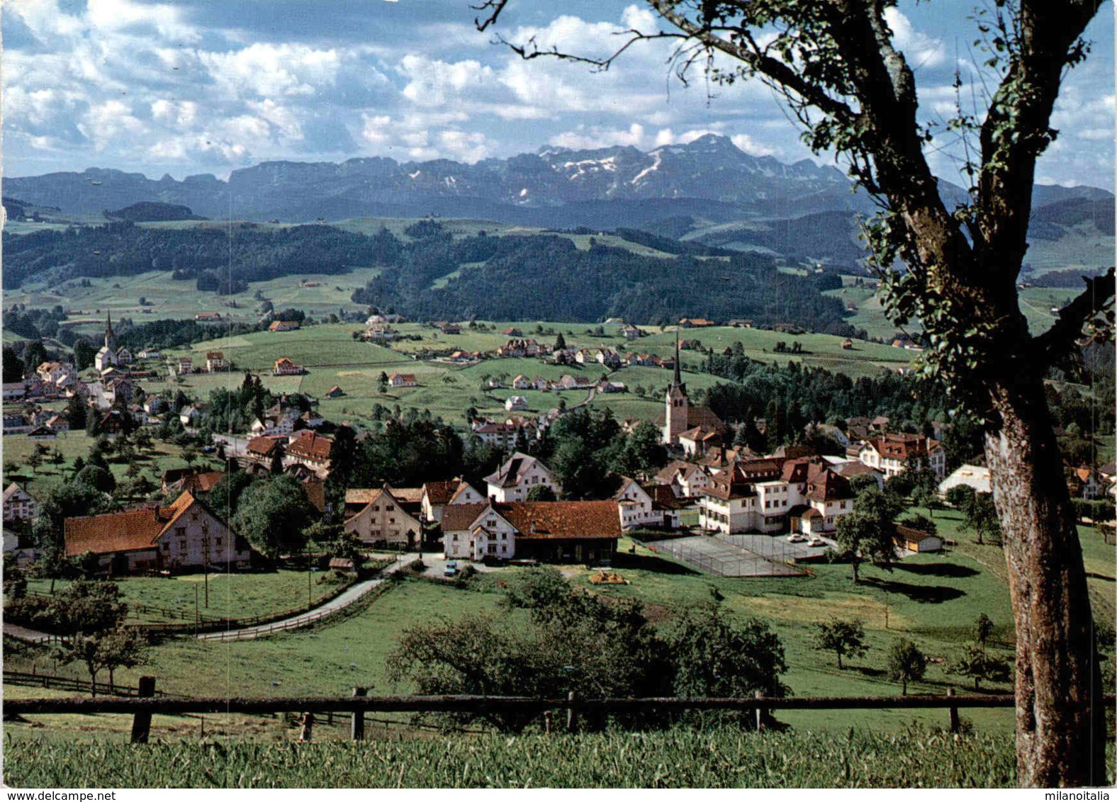 Teufen / AR - Blick Zum Säntis (35874) - Teufen