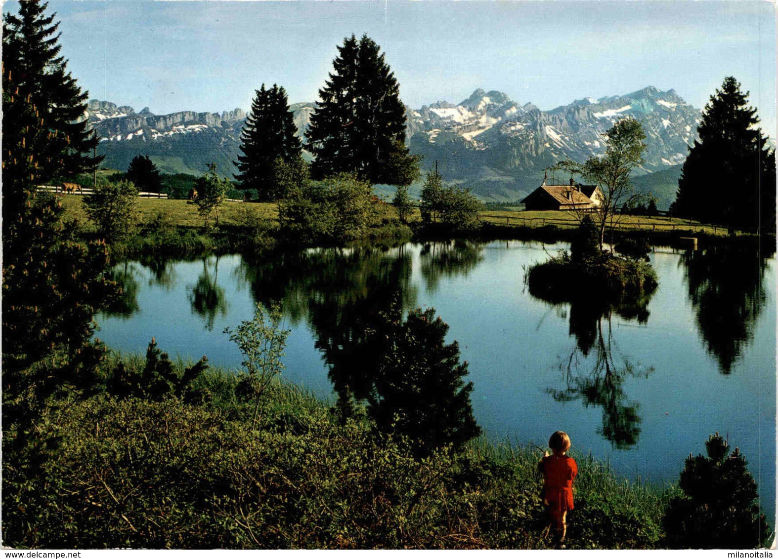 Auf Dem Gäbris Ob Gais (App.) - Blick Zum Alpstein (34560) * 9. 6. 1981 - Gais