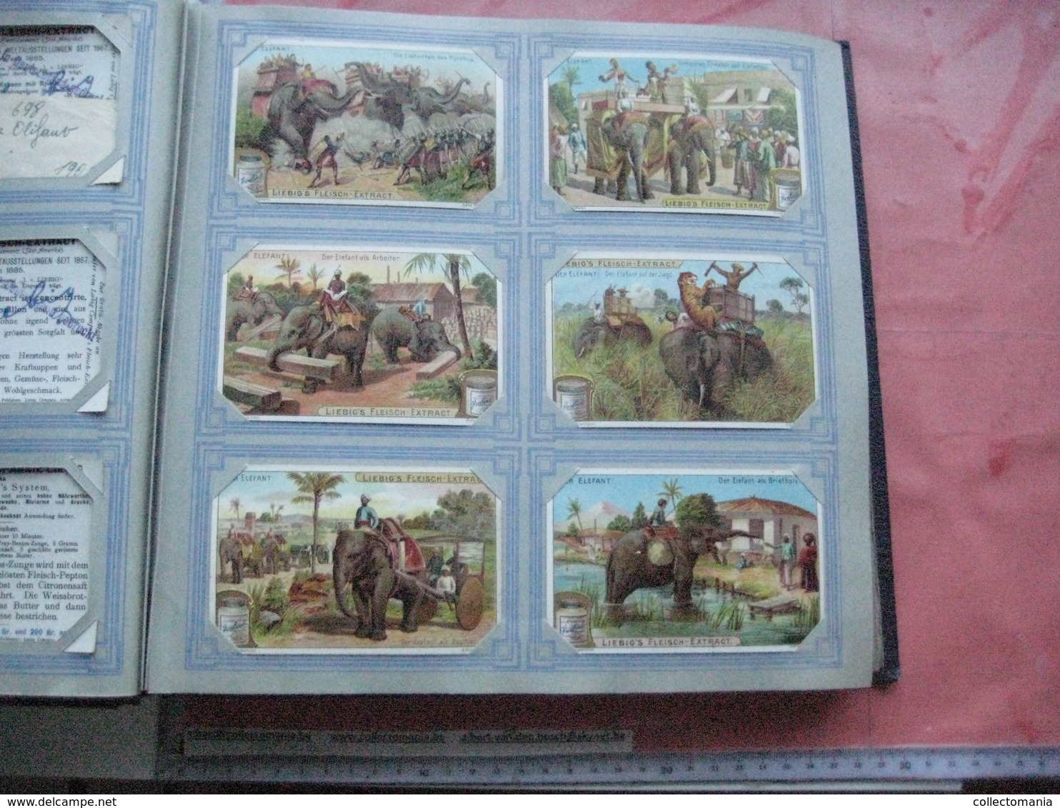 mooi Liebig Album anno 1901 à 1905, het zijn  50 complete reeksen van elke 6 kaarten 7cmX11cm, allemaal zeer goede staat