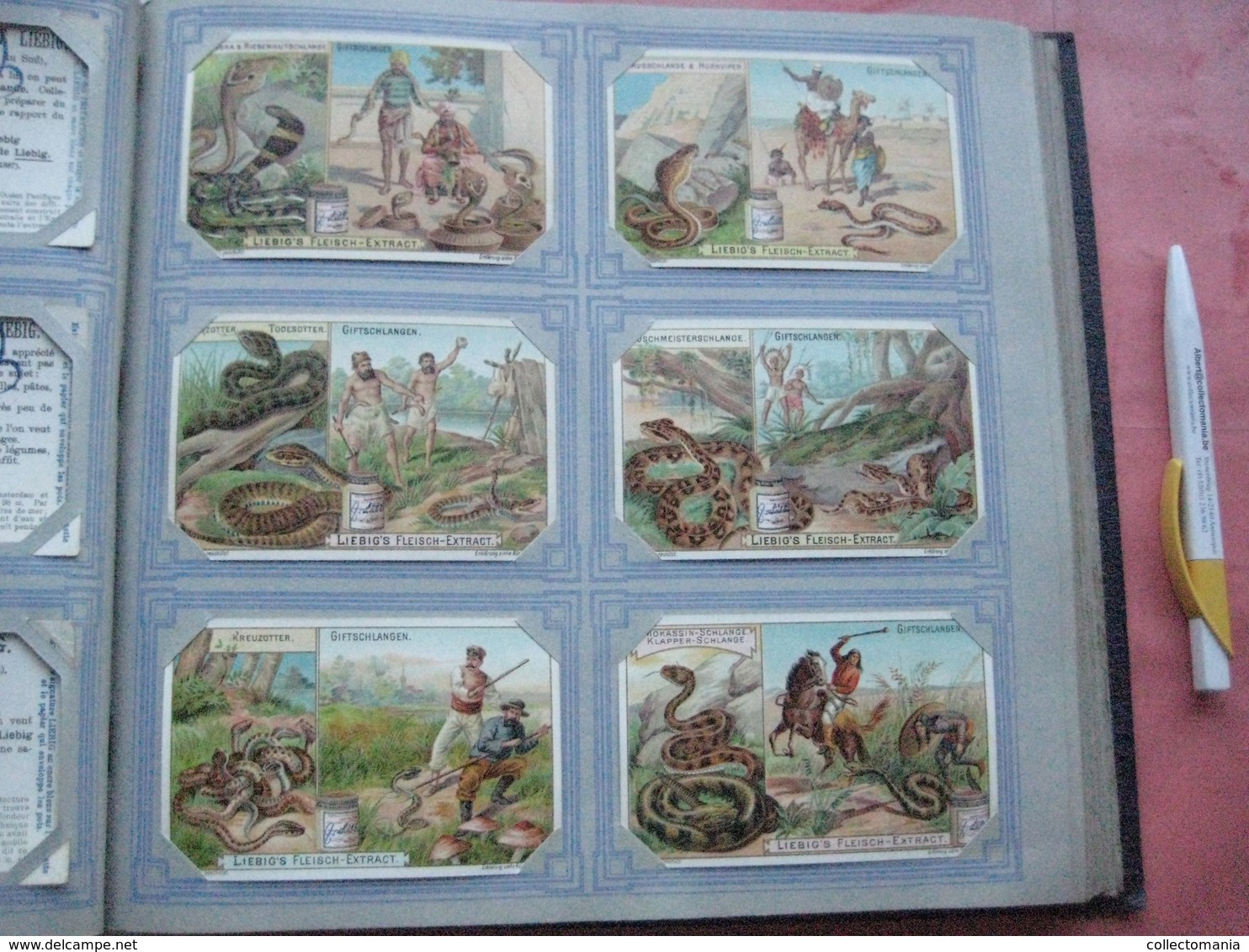 mooi Liebig Album anno 1901 à 1905, het zijn  50 complete reeksen van elke 6 kaarten 7cmX11cm, allemaal zeer goede staat