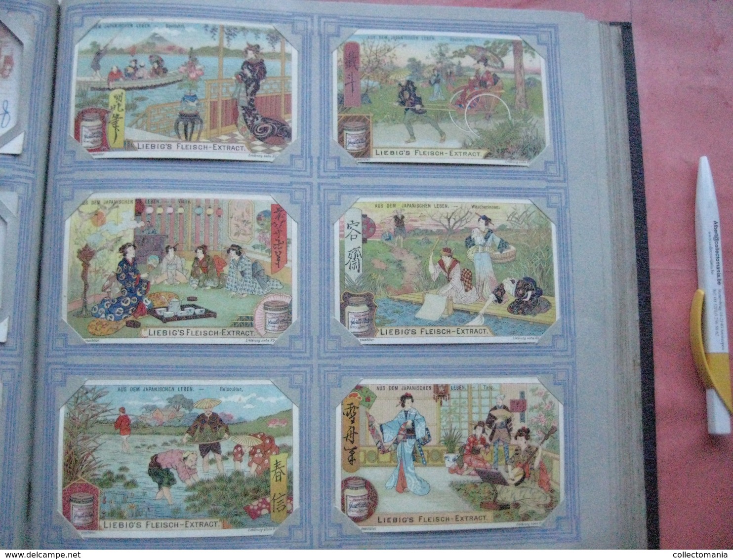 mooi Liebig Album anno 1901 à 1905, het zijn  50 complete reeksen van elke 6 kaarten 7cmX11cm, allemaal zeer goede staat