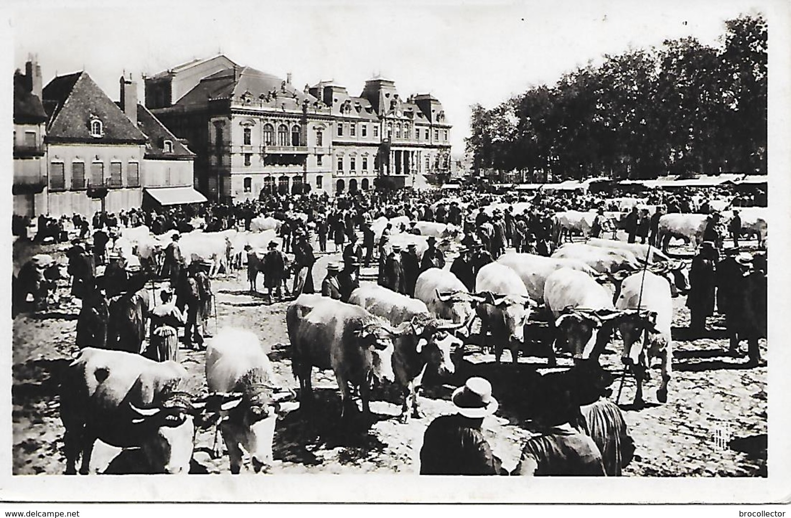 AUTUN ( 71 ) - La Place Du Champ De Mars Un Jour De Foire  ( C.P.SM. , Gd - Ft ) - Fiere