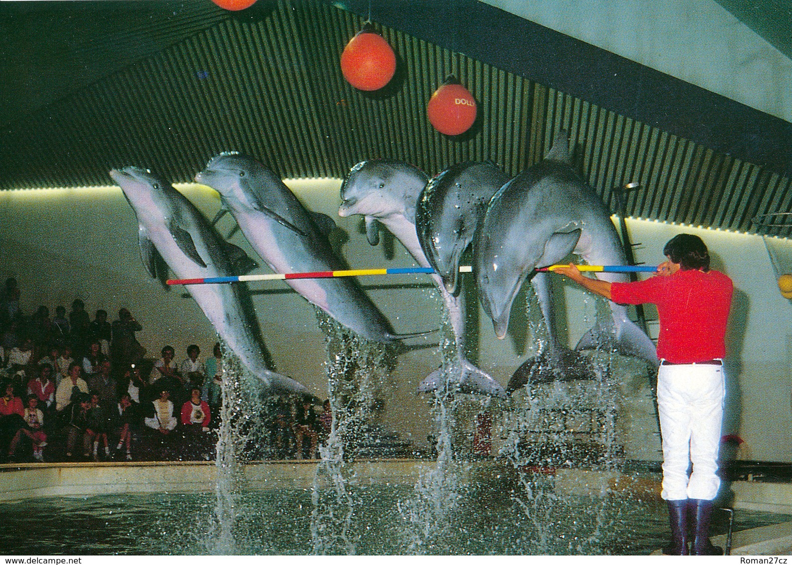 ZOO Duisburg, Germany - Dolphin - Duisburg