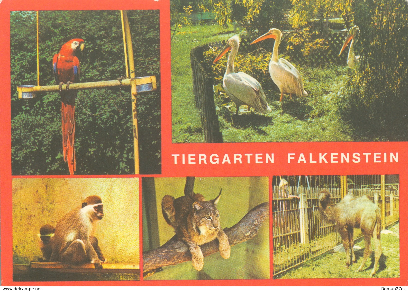 Tiergarten Falkenstein - Macaw, Pelican, Green Monkey, Lynx, Camel - Falkenstein (Vogtland)