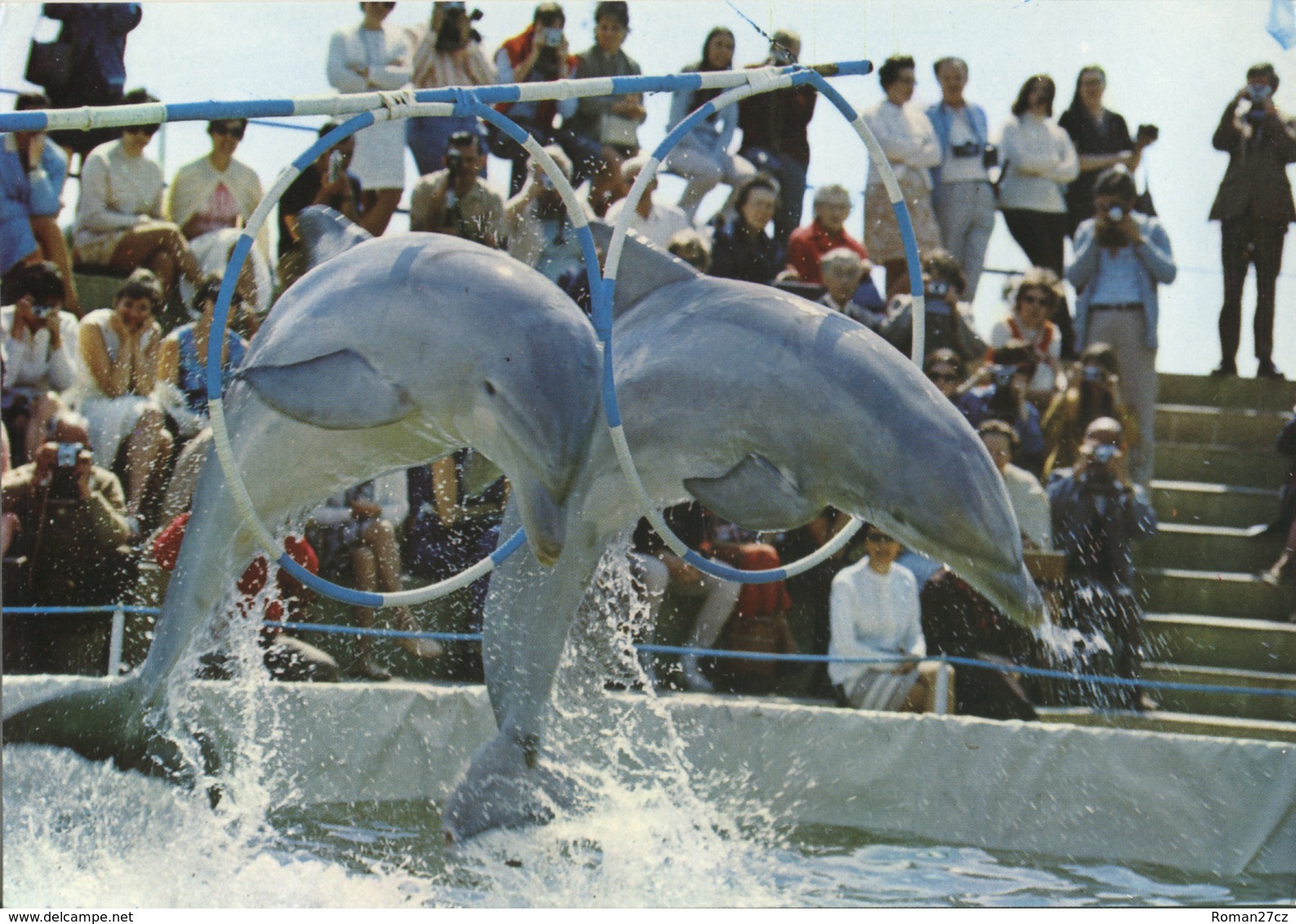 Safari-ZOO Mallorca (Auto Safari Mallorca), ES - Dolphin - Mallorca