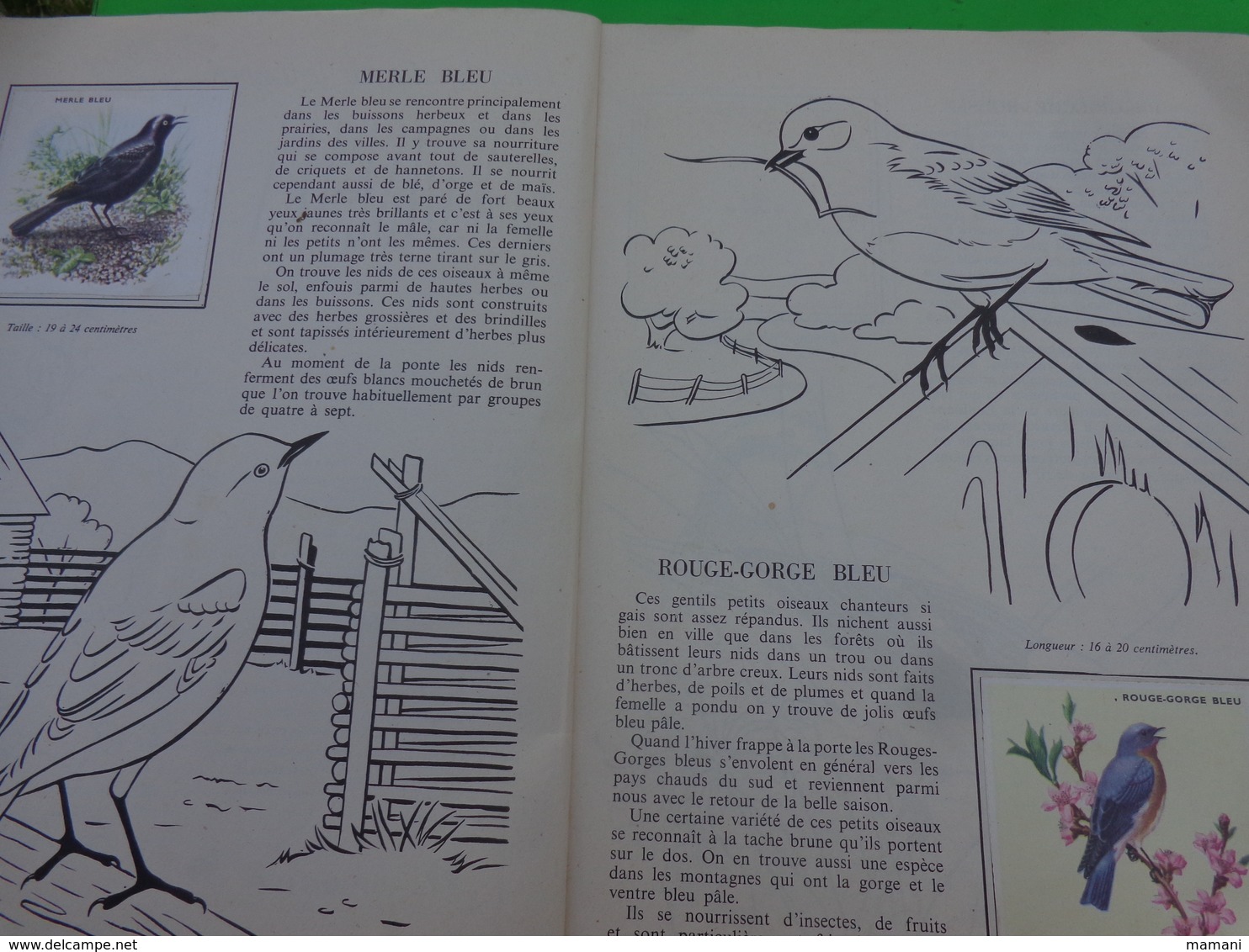 Lot De 2 L'encyclopedie Par Le Timbre -les Voyages De Gulliner N°13 Les Oiseaux N°8 - Sonstige & Ohne Zuordnung