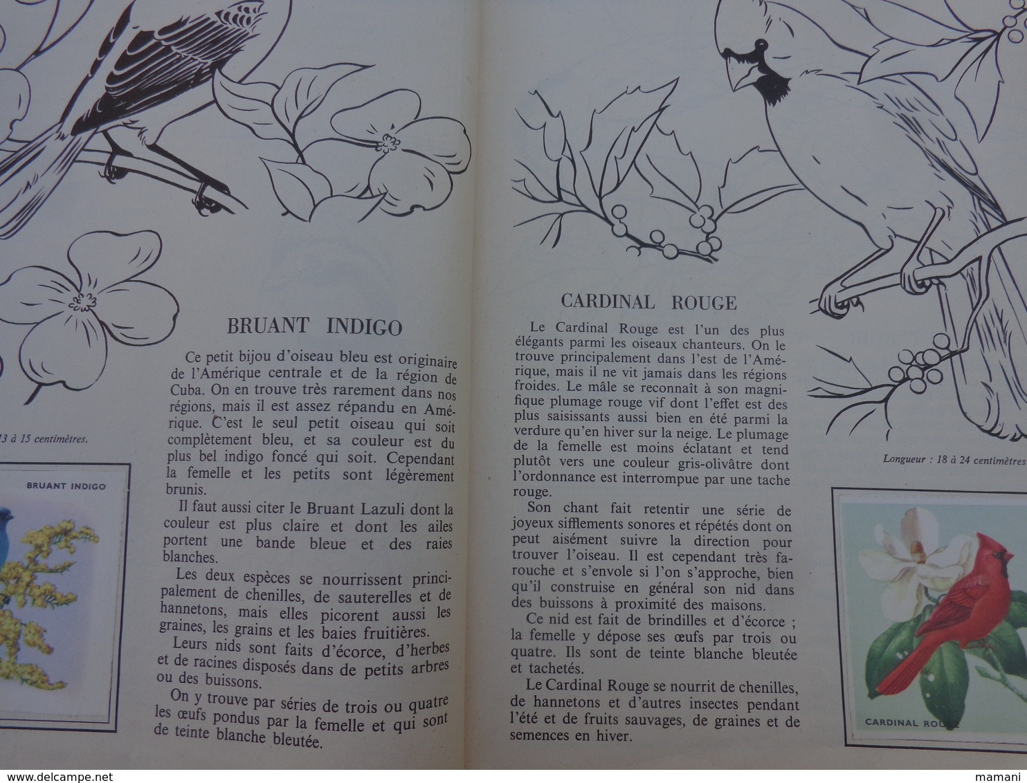 lot de 2 l'encyclopedie par le timbre -les voyages de gulliner n°13 les oiseaux n°8