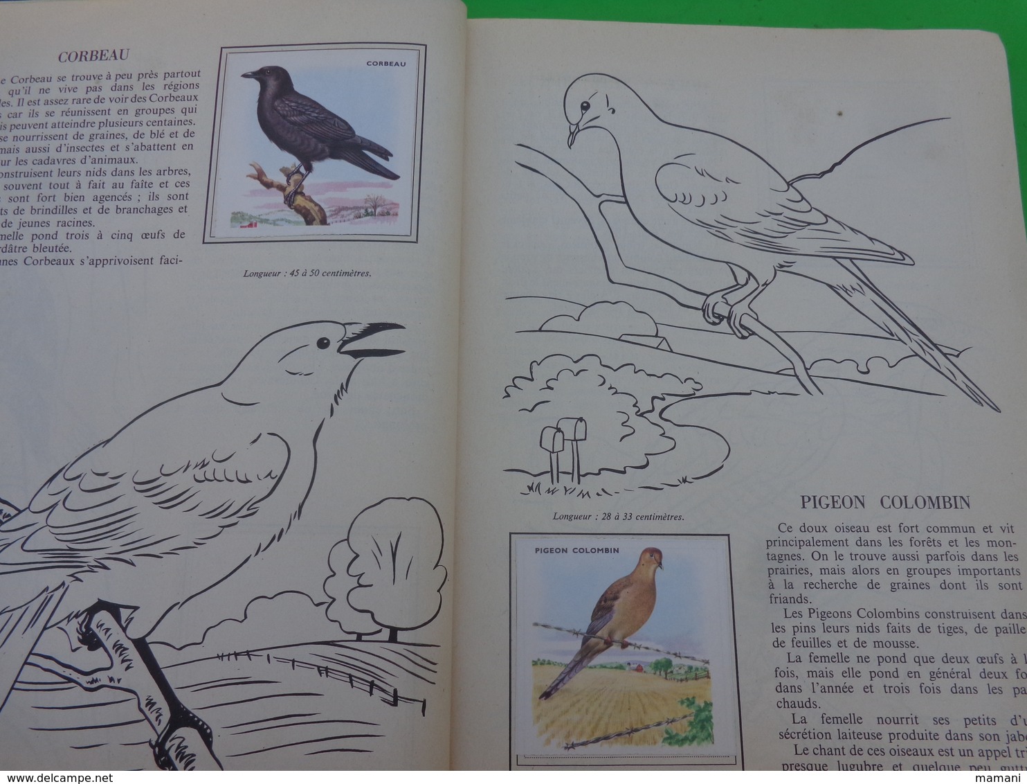 lot de 2 l'encyclopedie par le timbre -les voyages de gulliner n°13 les oiseaux n°8