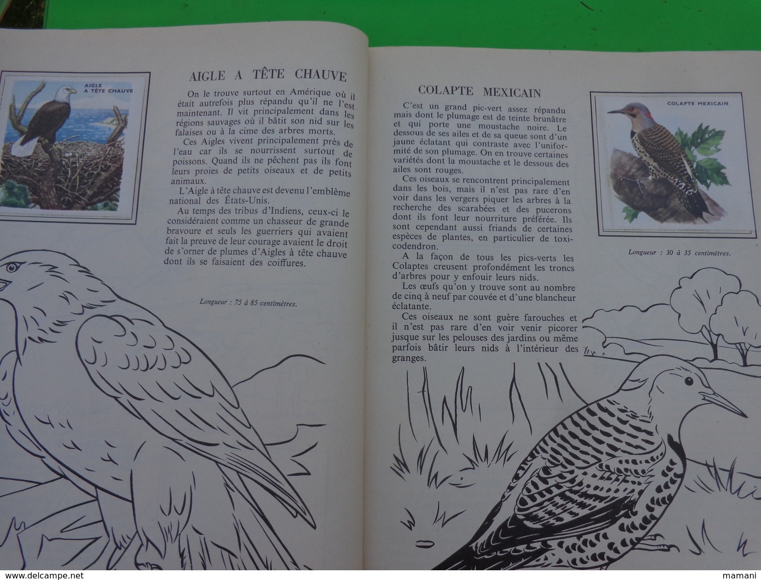 lot de 2 l'encyclopedie par le timbre -les voyages de gulliner n°13 les oiseaux n°8
