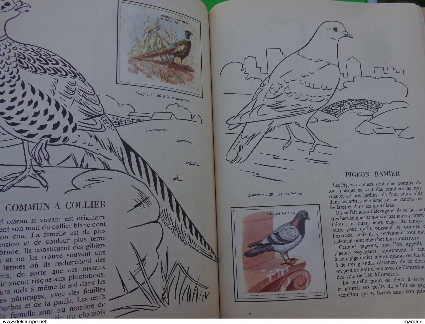 lot de 2 l'encyclopedie par le timbre -les voyages de gulliner n°13 les oiseaux n°8