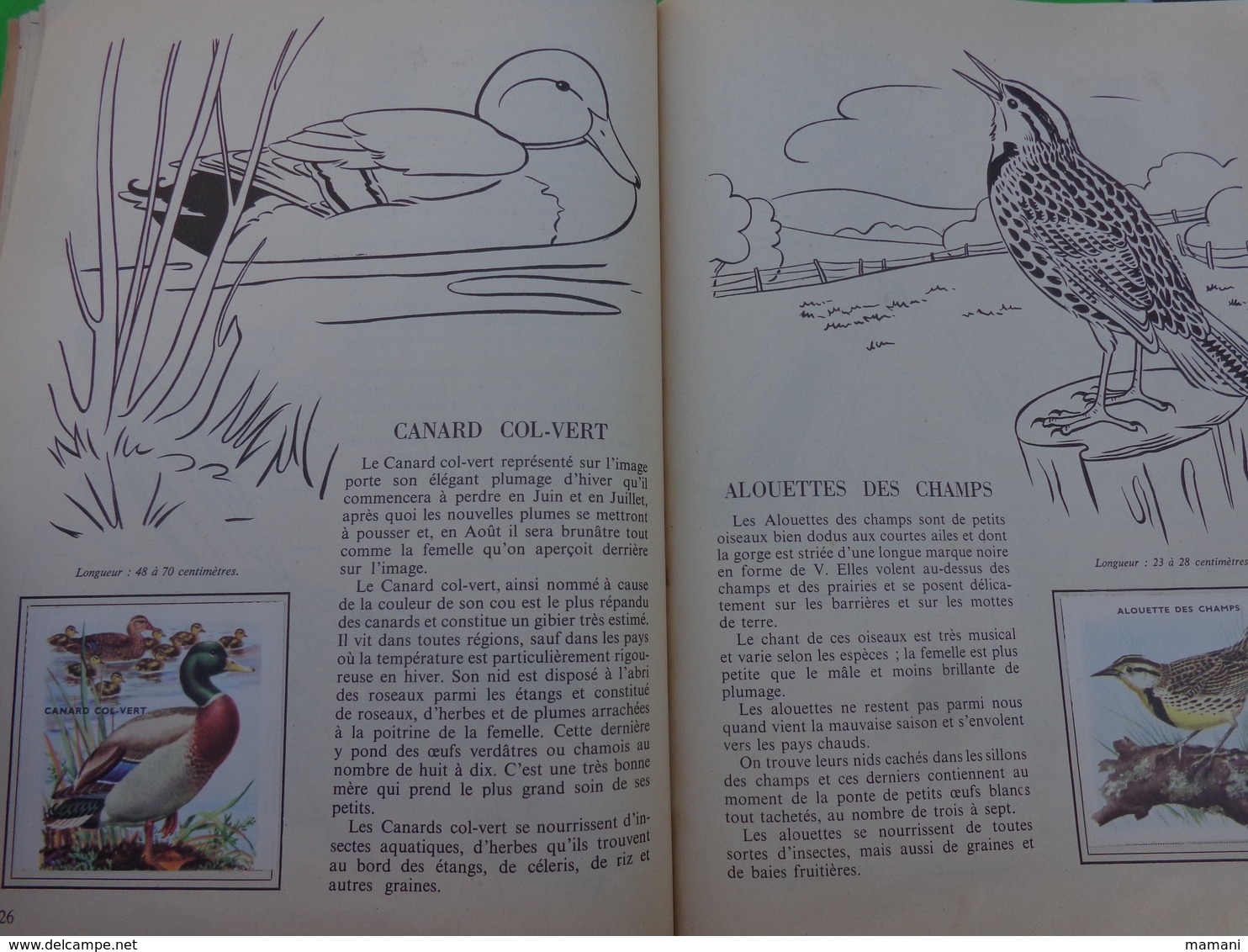 lot de 2 l'encyclopedie par le timbre -les voyages de gulliner n°13 les oiseaux n°8