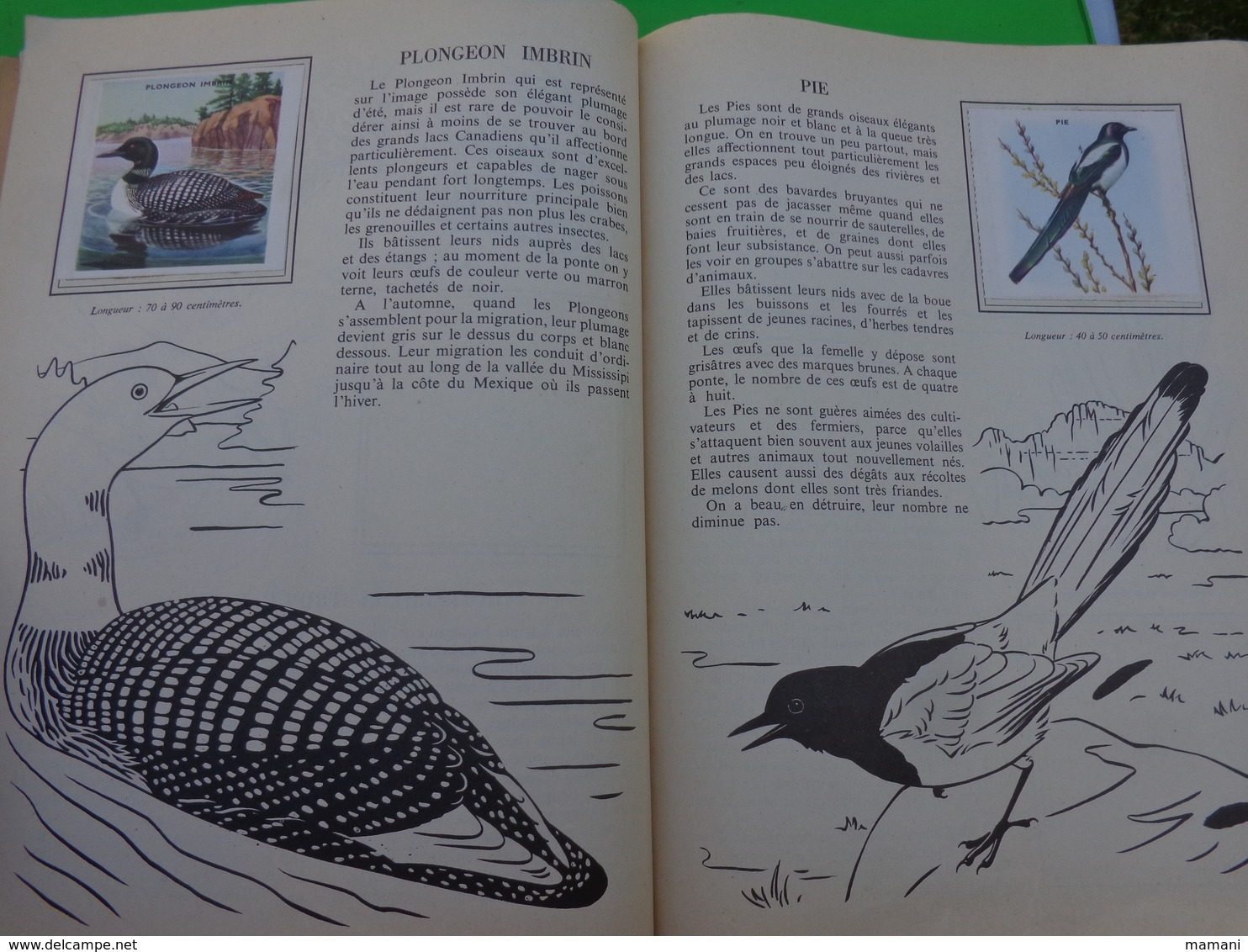 lot de 2 l'encyclopedie par le timbre -les voyages de gulliner n°13 les oiseaux n°8