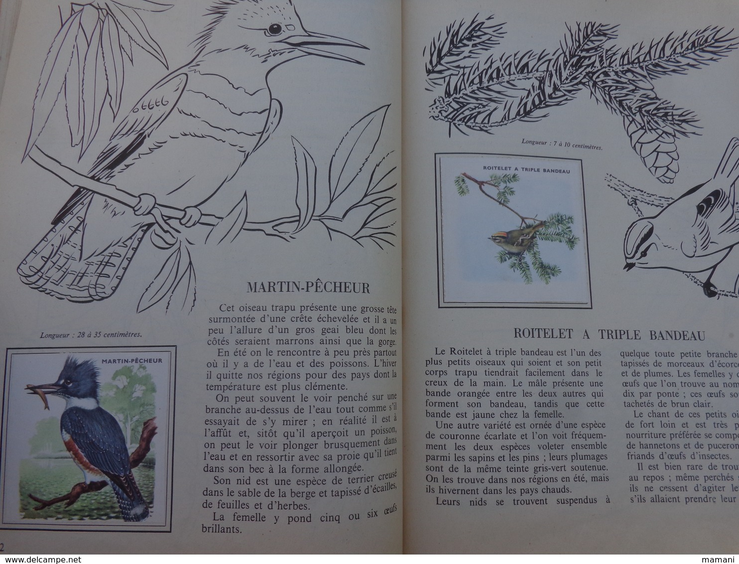 lot de 2 l'encyclopedie par le timbre -les voyages de gulliner n°13 les oiseaux n°8