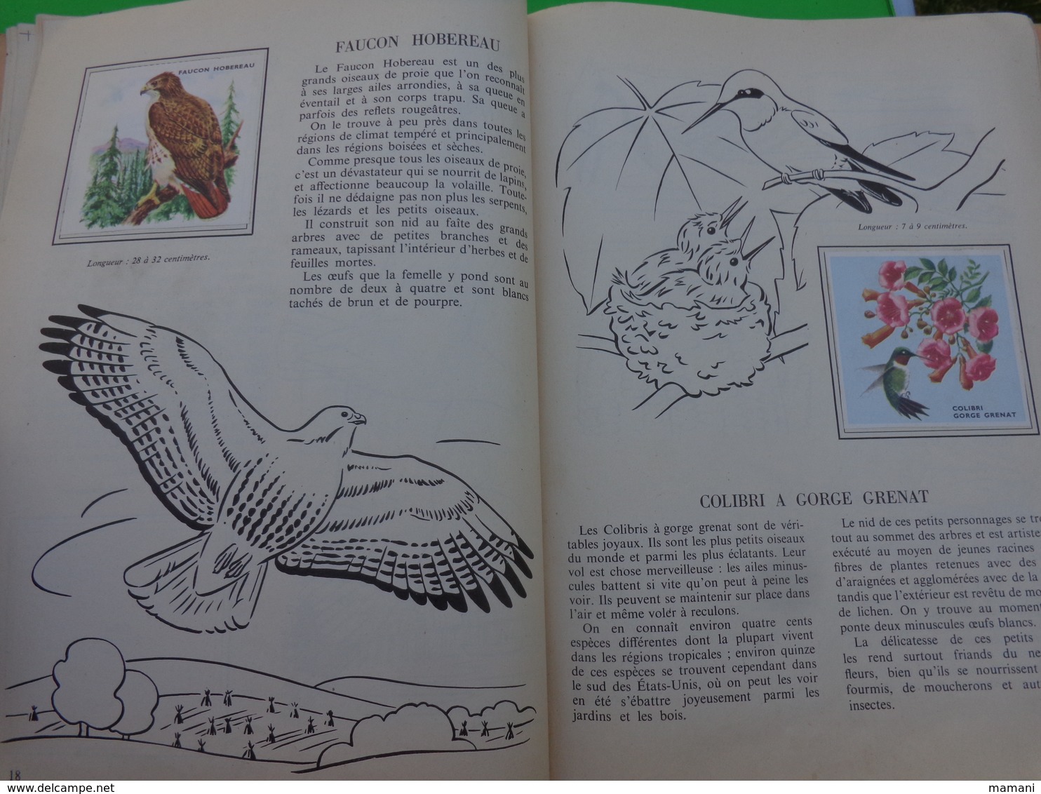 lot de 2 l'encyclopedie par le timbre -les voyages de gulliner n°13 les oiseaux n°8