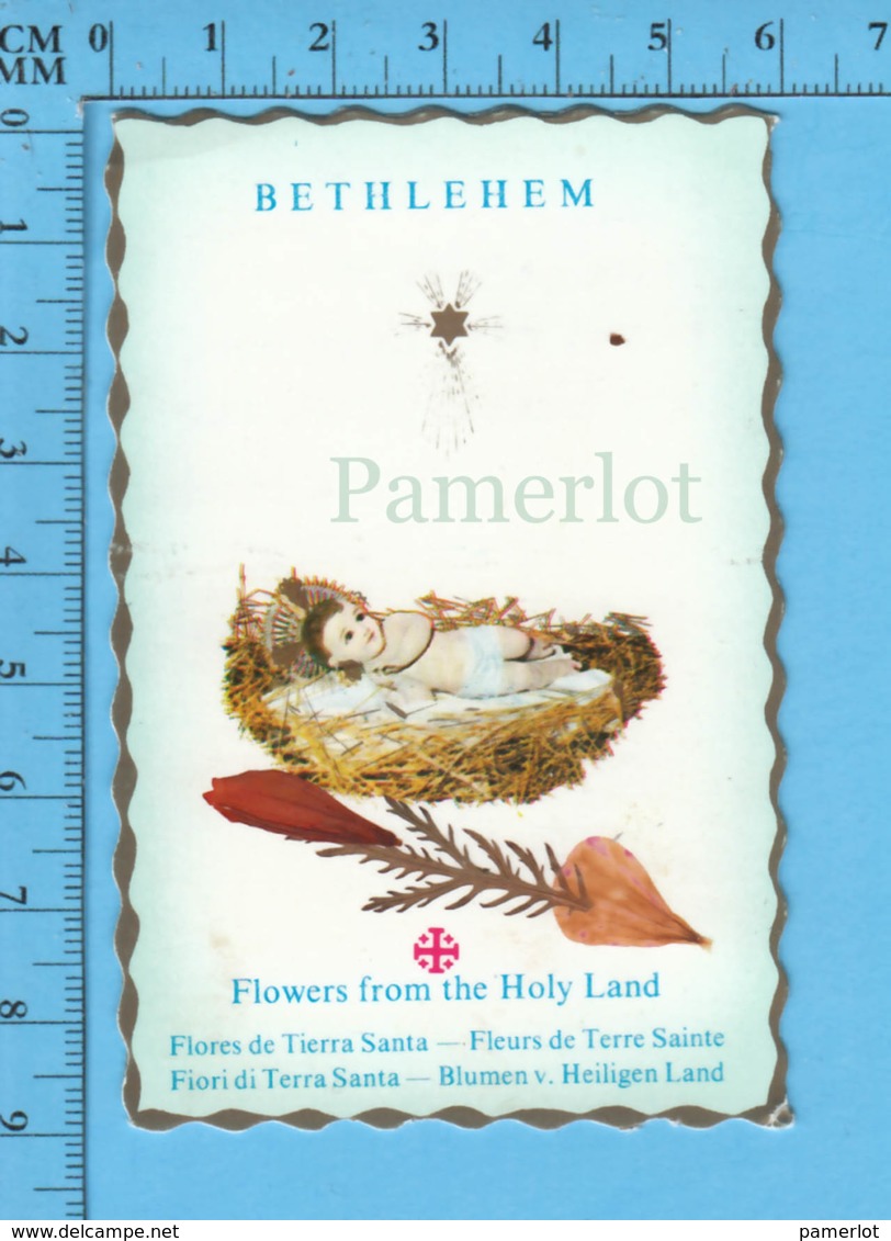 Relique - Bethlehem Fleurs De Terre Sainte + Mathieu 2,6 - Religion & Esotérisme