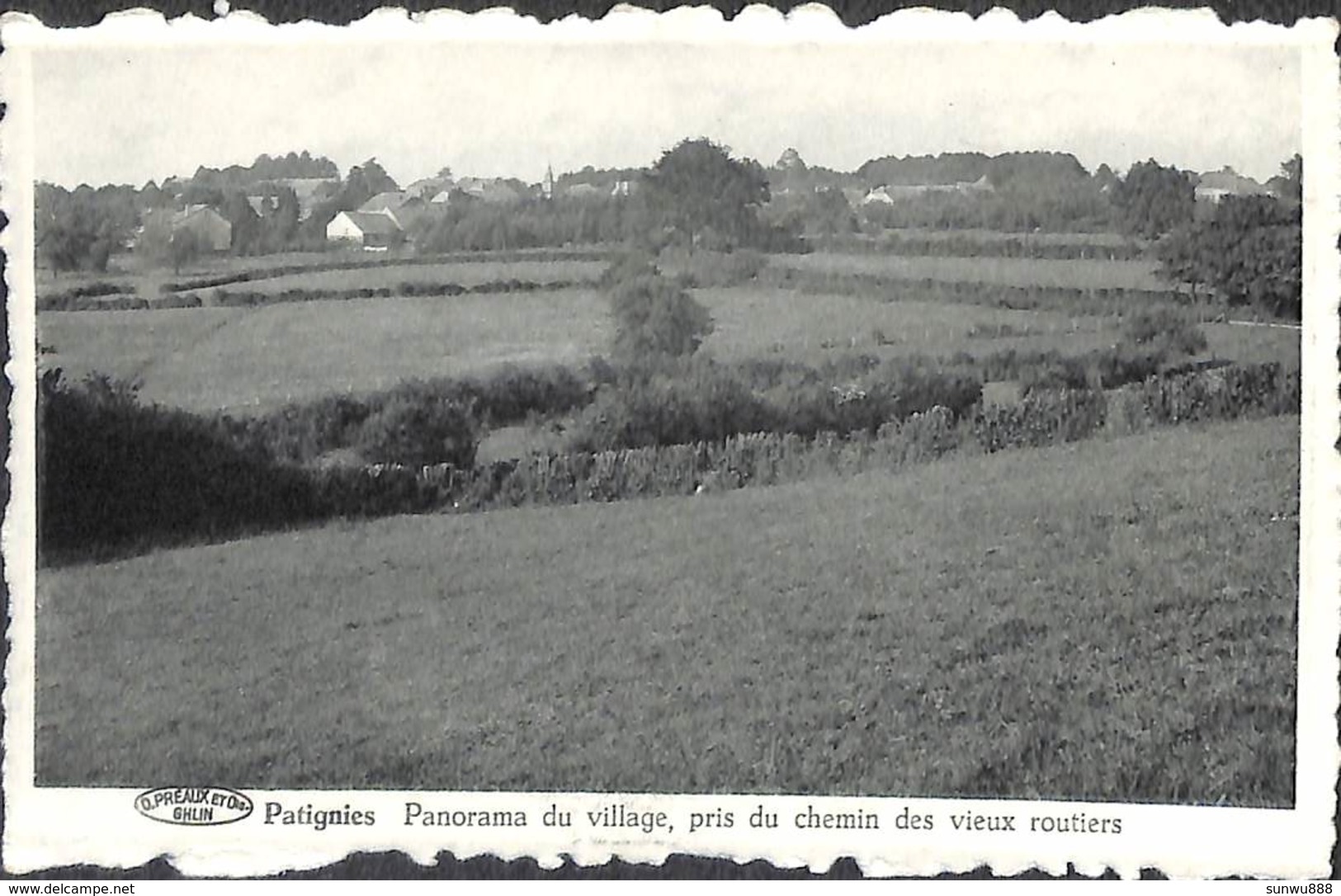 Patignies - Panorama Du Village, Pris Du Chemin Des Vieux Routiers - Gedinne