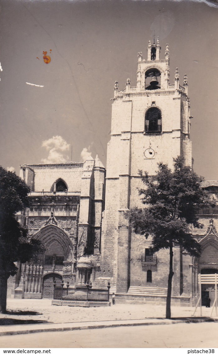 PALENCIA - Cathédrale, Façade Principale - CPSM Crantée - 2 Scans - Palencia