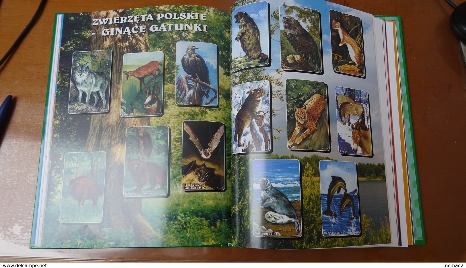 Beautifull Catalogue Polish Phone Cards - Boeken & CD's