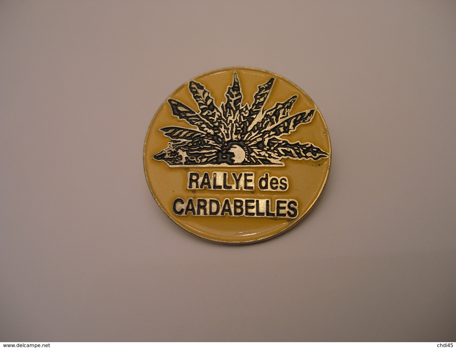 RALLYE DES CARDABELLES - Rallye