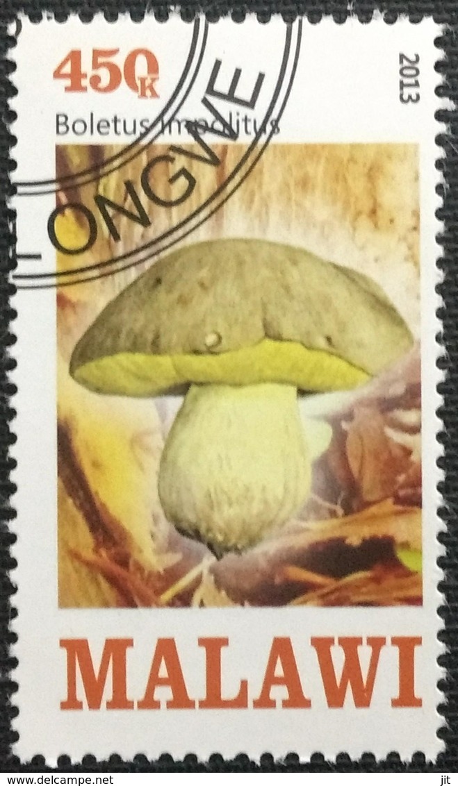 141. MALAWI (450K) 2013 USED STAMP MUSHROOMS . - Malawi (1964-...)