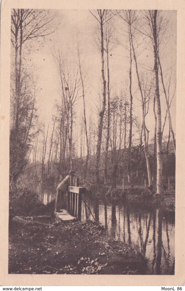 86 - VOUILLE LA BATAILLE -  VALLEE DE L AUXANCE - LE BOUCHAUX DU MOULIN - Vouille