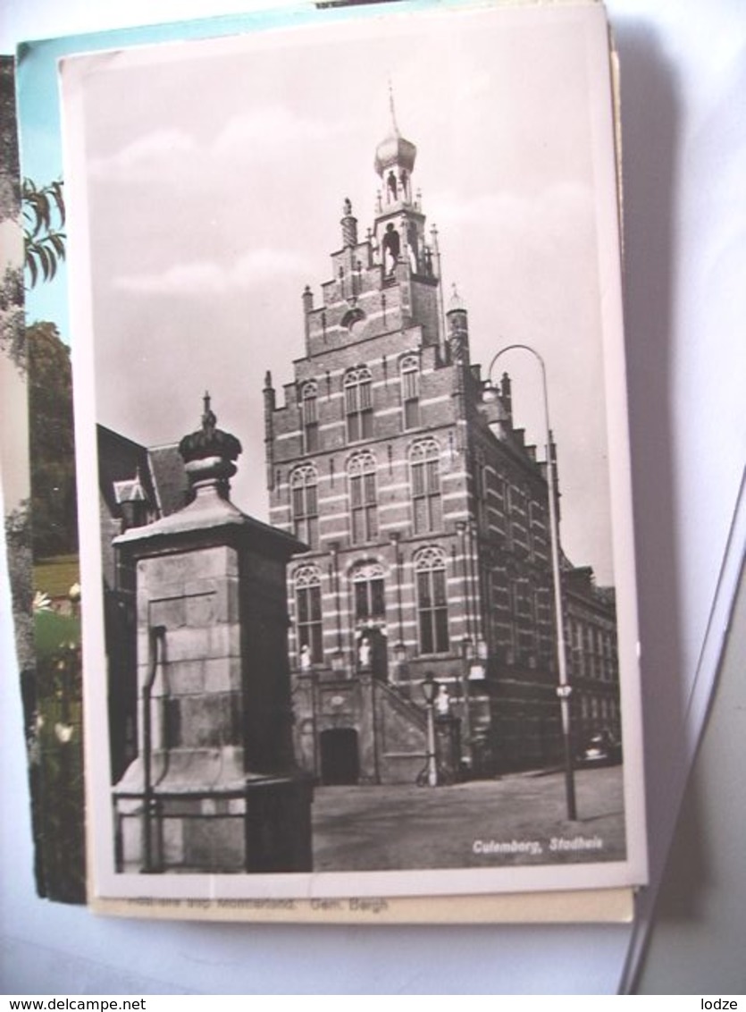 Nederland Holland Pays Bas Culemborg Met Stadhuis En Omgeving - Culemborg