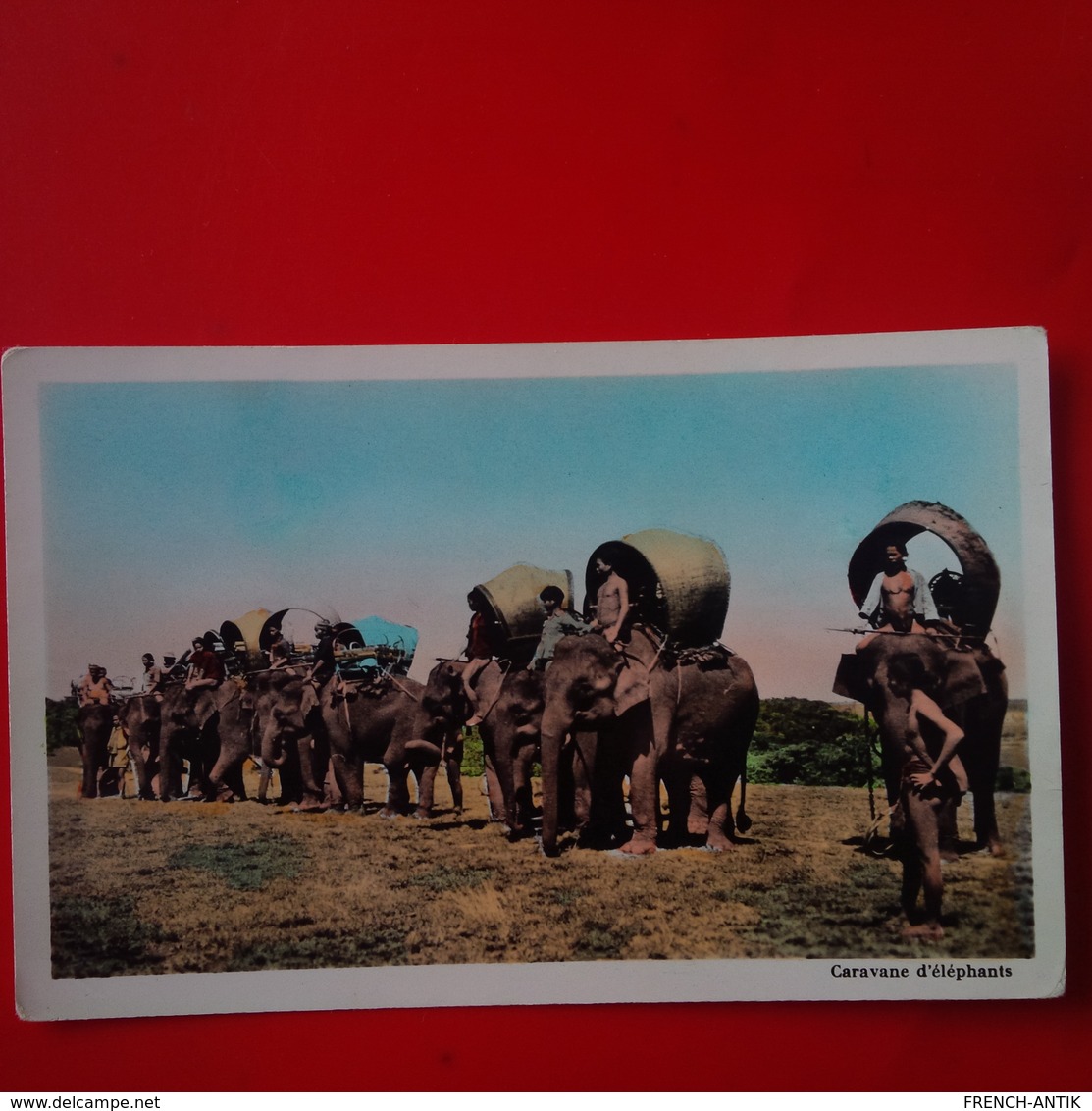 CARAVANE D ELEPHANTS - Éléphants