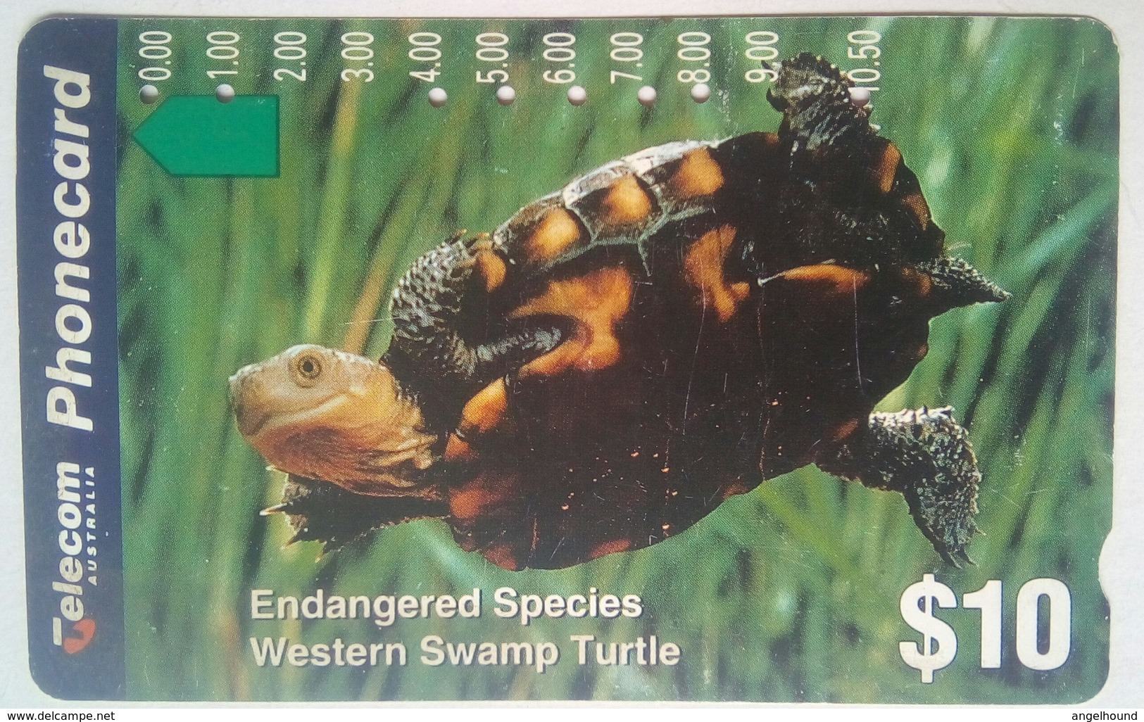 $10 Endangered Species Western Swamp Turtle - Australia