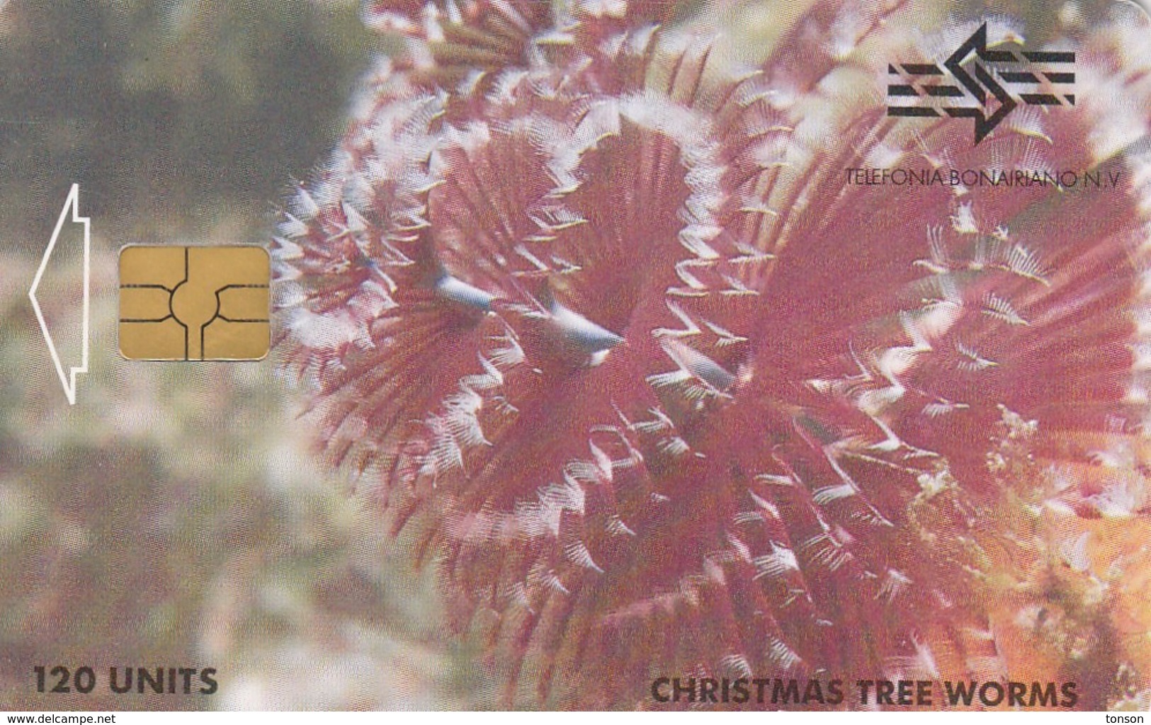 Bonaire, AN-BON-TBO-0011A, Christmas Tree Worms, 2 Scans.  Black Lines In Chip - Antilles (Netherlands)