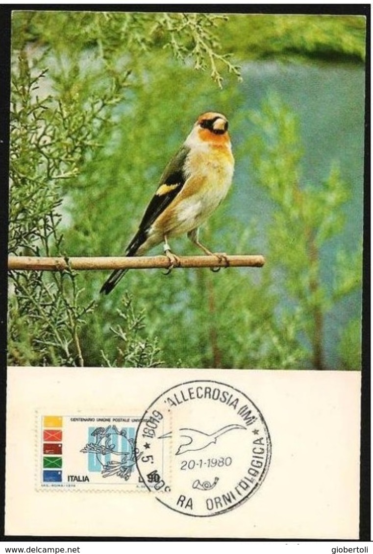 Italia/Italy/Italie: Fiera Ornitologica, Fair Bird, Foire Des Oiseaux - Obliteraciones & Sellados Mecánicos (Publicitarios)