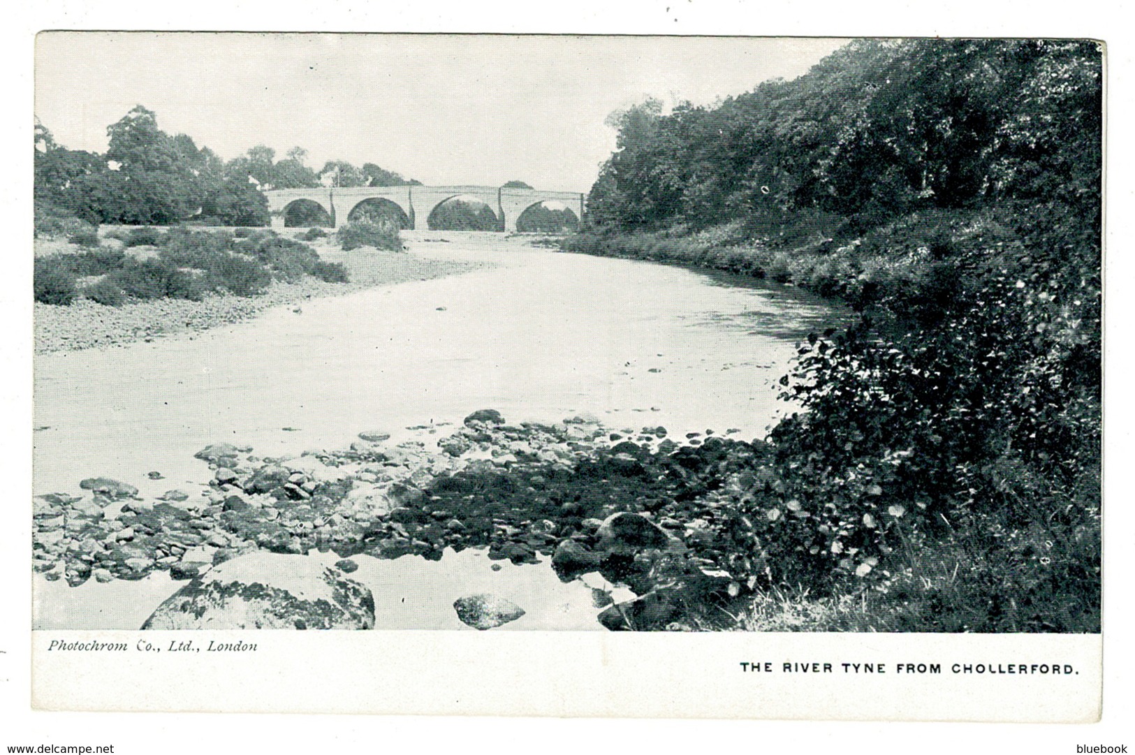 Ref 1362 - Postcard - The River Tyne From Chollerford Northumberland - Sonstige & Ohne Zuordnung