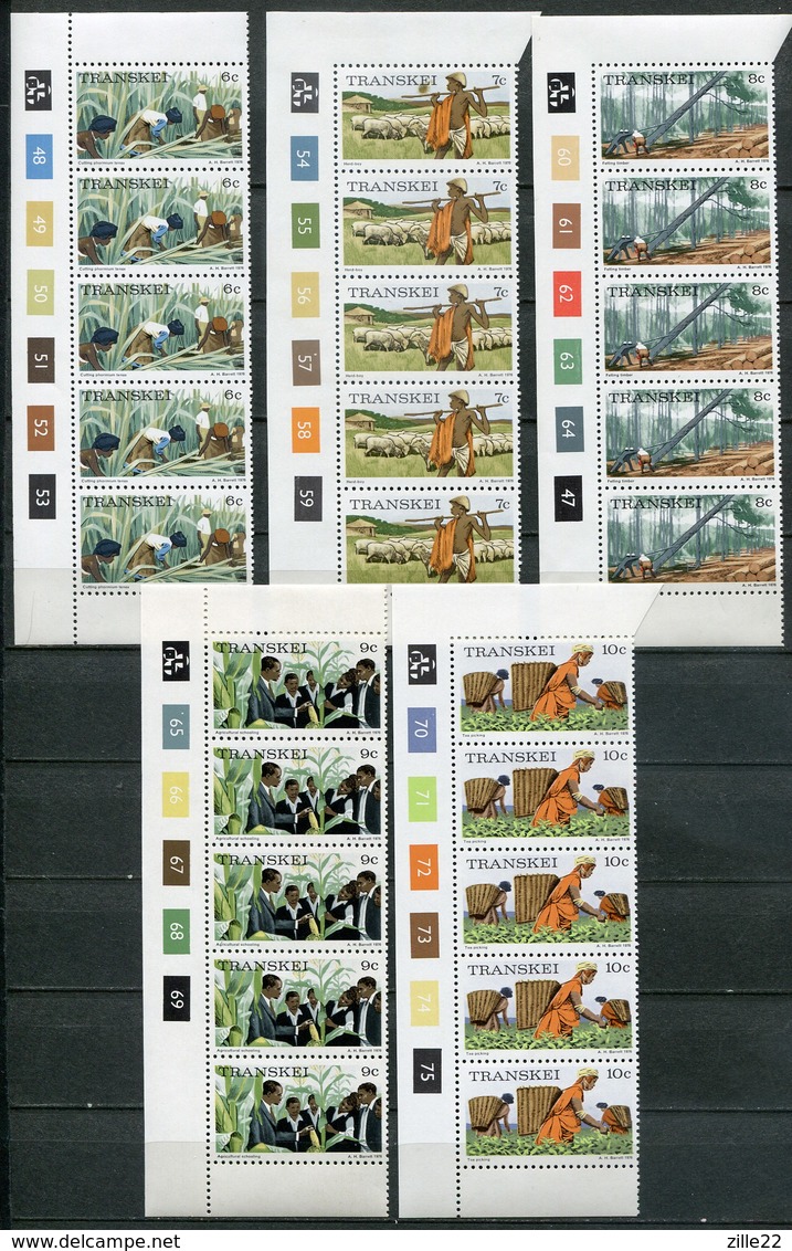 Transkei Mi# 1-17 Zylinderstreifen Postfrisch/MNH Controls - Traditional Life And Sights - Transkei