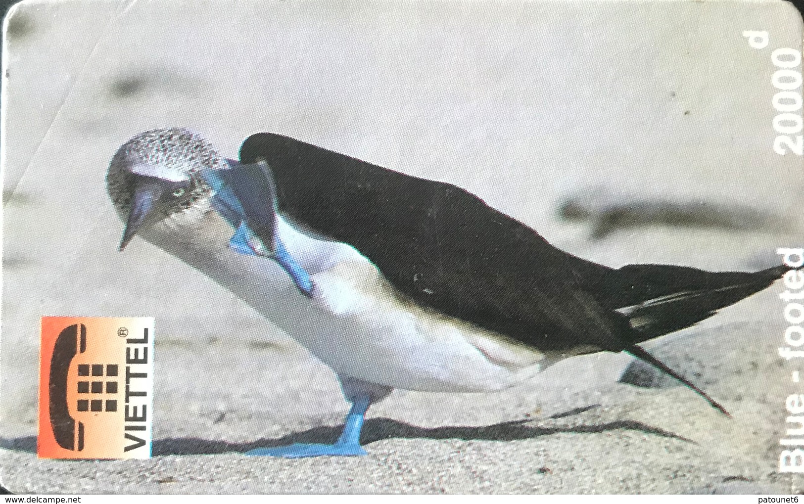 VIÊT- NAM  -  Cards  -  VIETTEL  -  FAKE  -  Blue-footed  -  20000 D - Vietnam