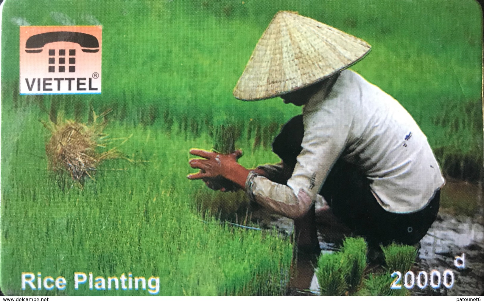 VIÊT- NAM  -  Cards  -  VIETTEL  -  FAKE  -  Rice Planting -  10000 D - Vietnam