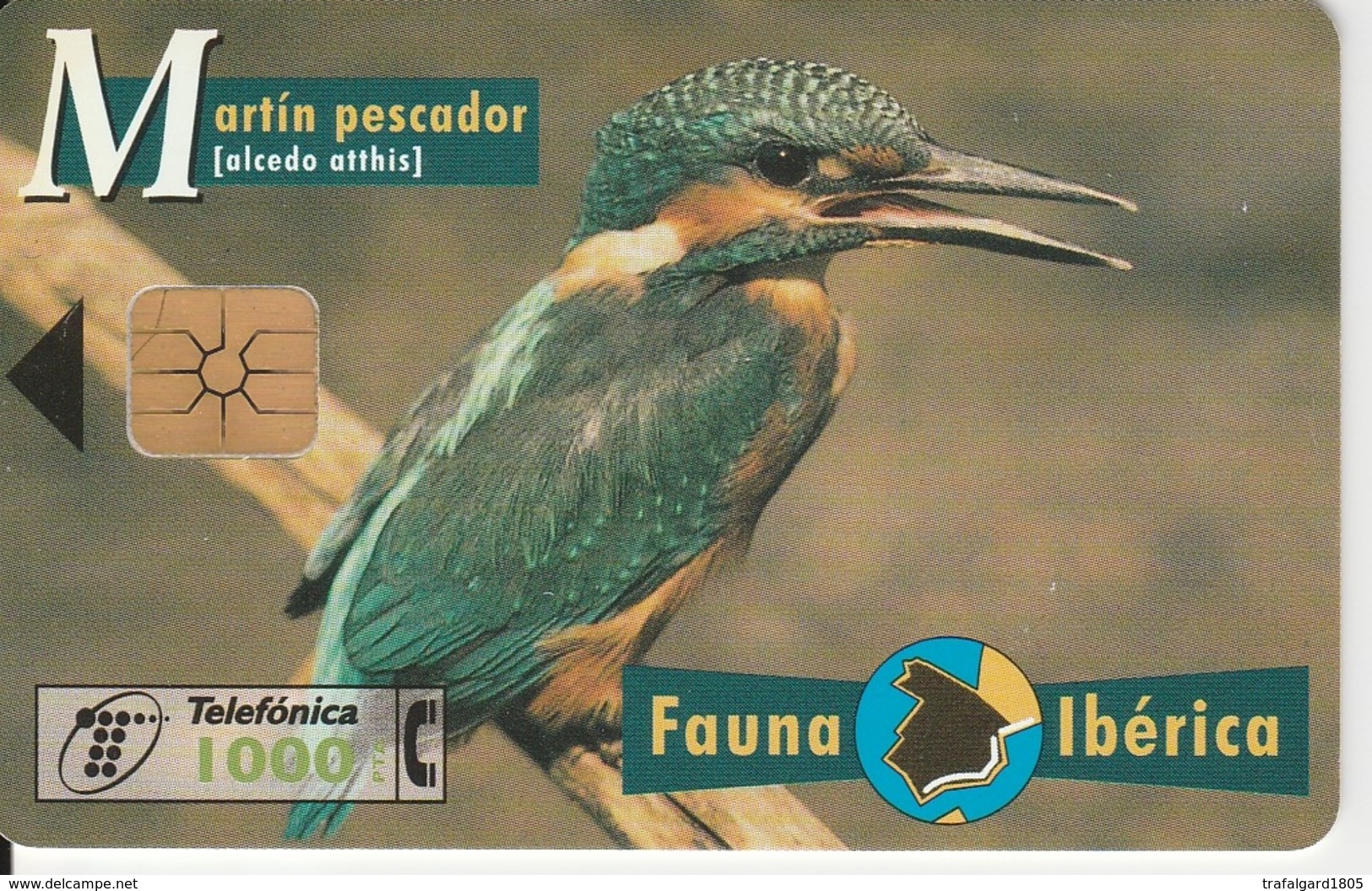 641. ESPAGNE. MARTIN PECHEUR - Songbirds & Tree Dwellers