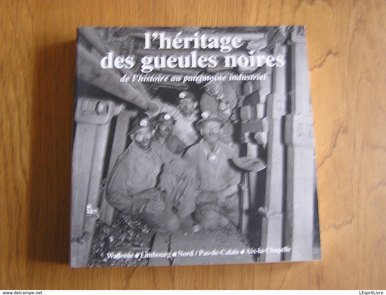 L'HERITAGE DES GUEULES NOIRES Régionalisme Industrie Charbonnages Mine Architecture Industrielle Hainaut Liège France - Belgique