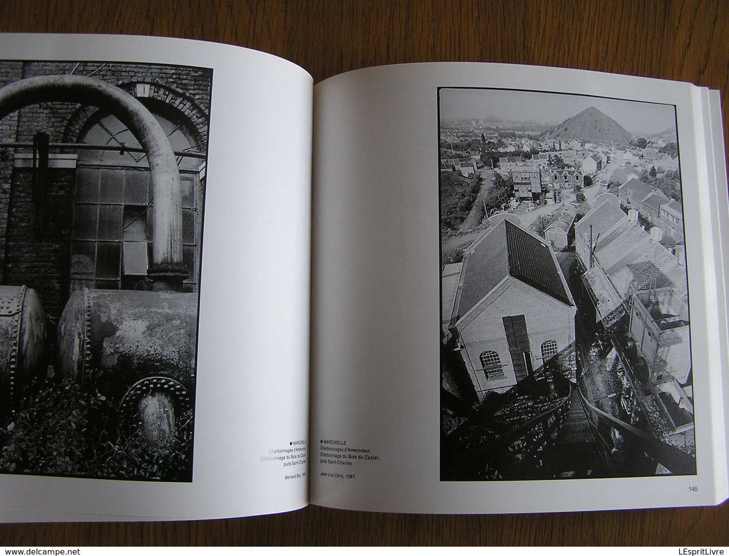 L'HERITAGE DES GUEULES NOIRES Régionalisme Industrie Charbonnages Mine Architecture Industrielle Hainaut Liège France