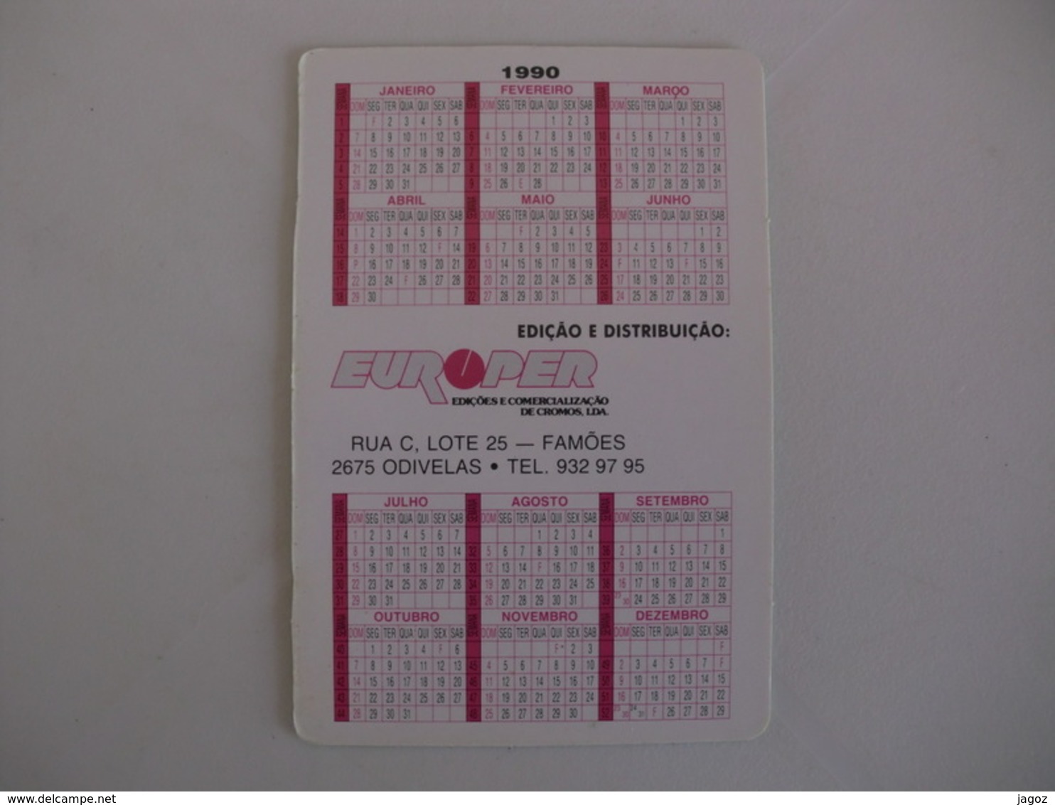 Football Futebol Santiago Futebol Clube Açores Portugal Portuguese Pocket Calendar 1990 - Tamaño Pequeño : 1981-90