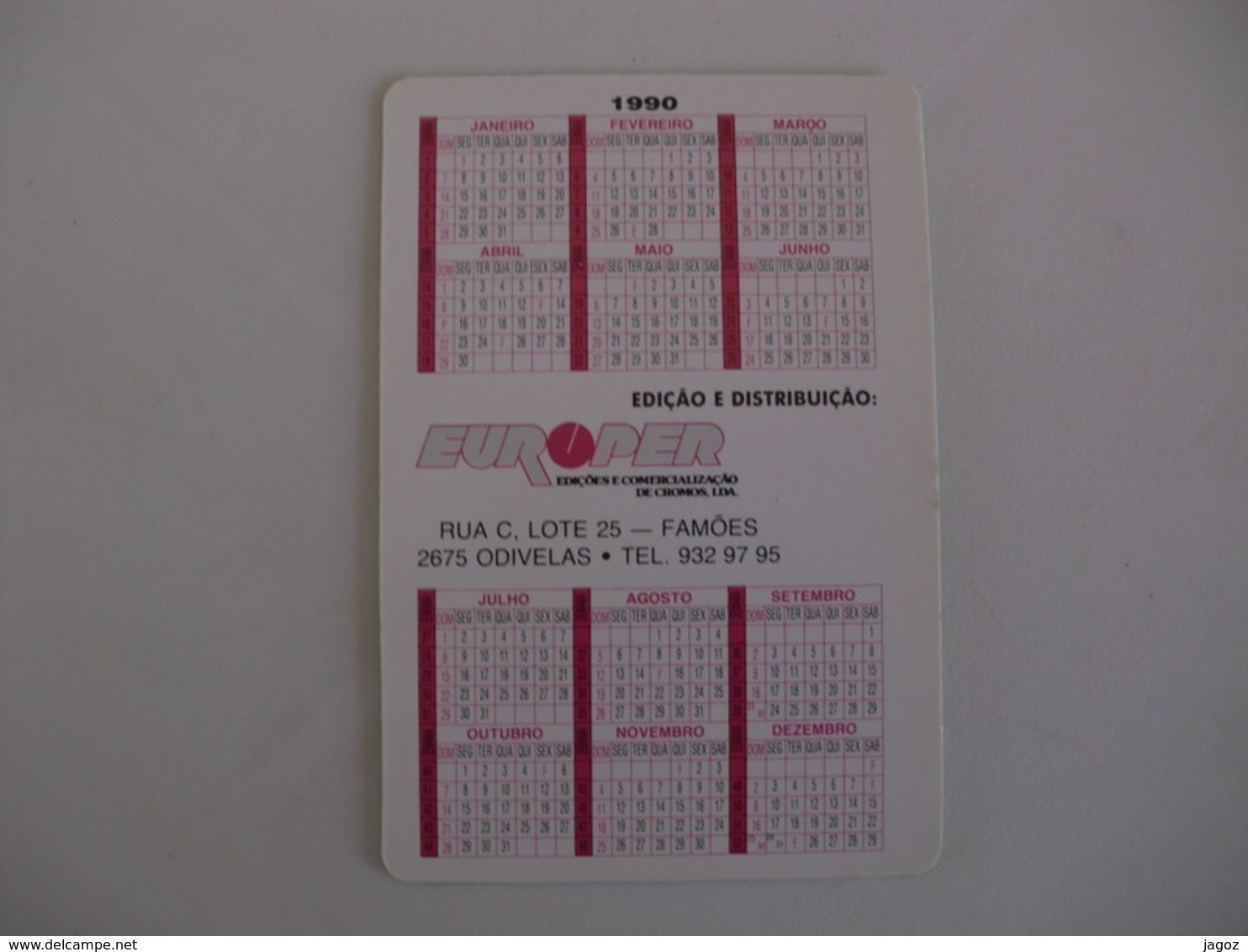 Football Futebol Águia Clube Desportivo Açores Portugal Portuguese Pocket Calendar 1990 - Small : 1981-90