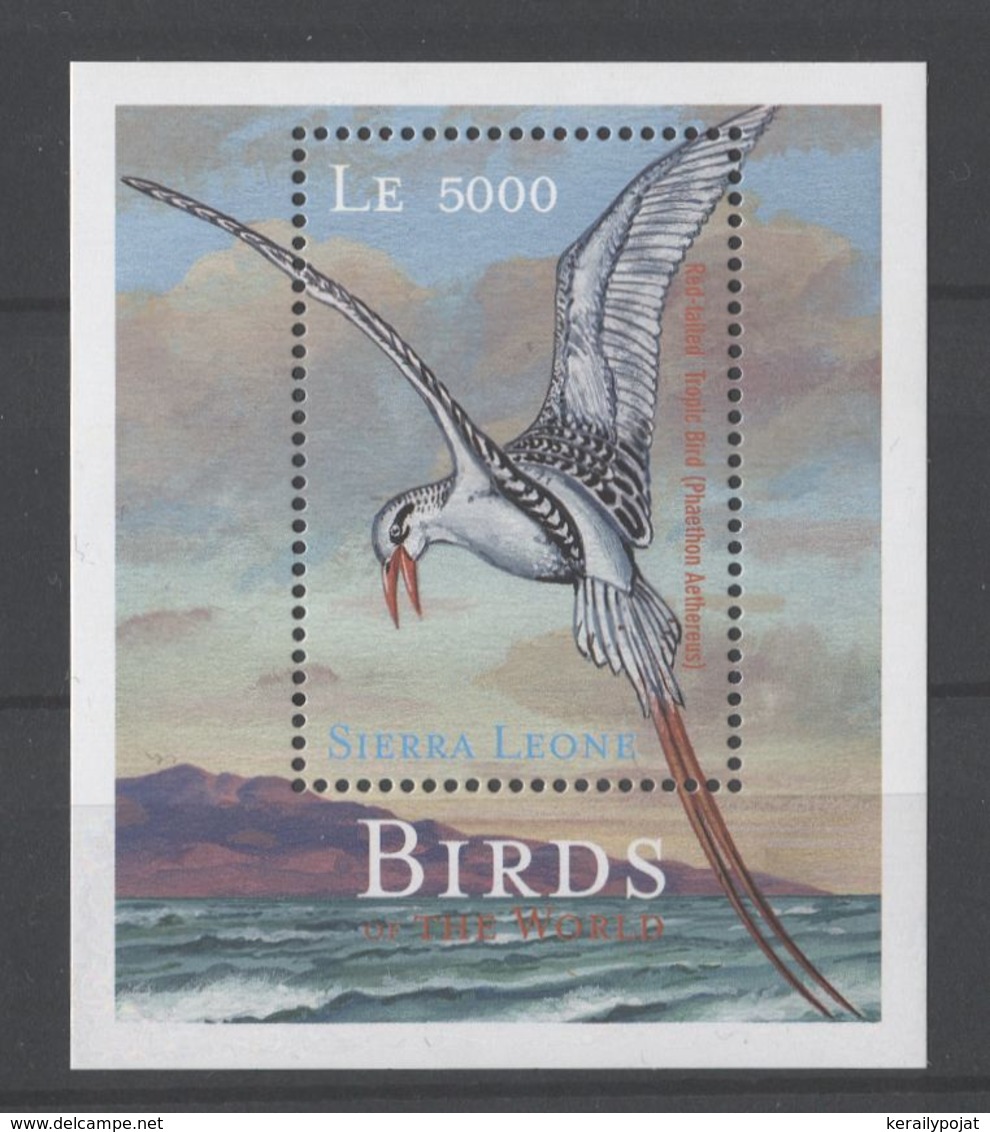 Sierra Leone - 2000 Seabirds Block (1) MNH__(TH-17762) - Sierra Leone (1961-...)