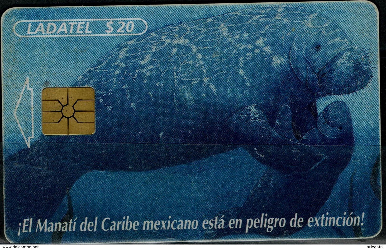 MEXICO 2000 PHONECARD SEA TURTLES USED VF!! - Schildpadden